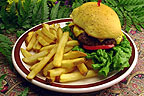 Big Burger